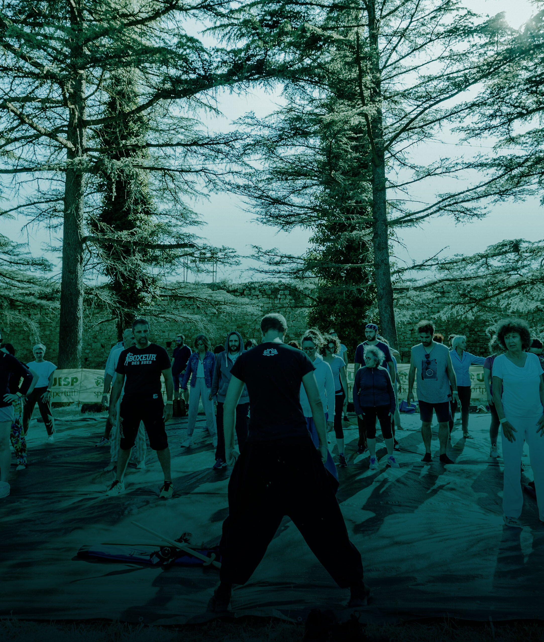 Tai Chi Chuan